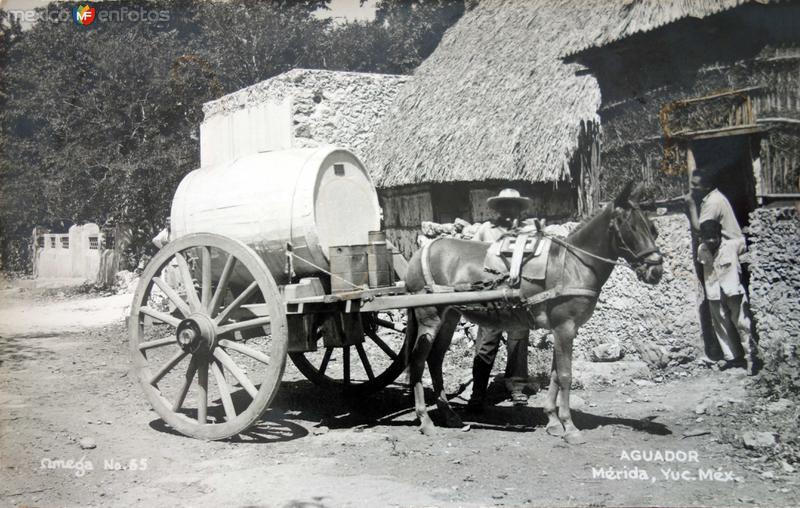 Tipos Mexicanos un Aguador.