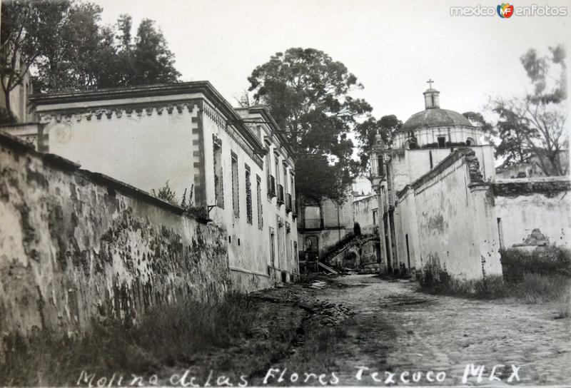 Molino de Las Flores.