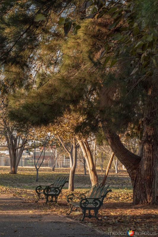 Fotografías de Delicias Chihuahua.