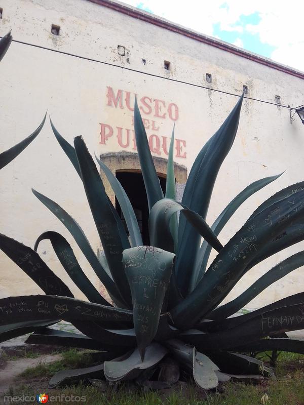 Museo del Pulque. Junio/2018