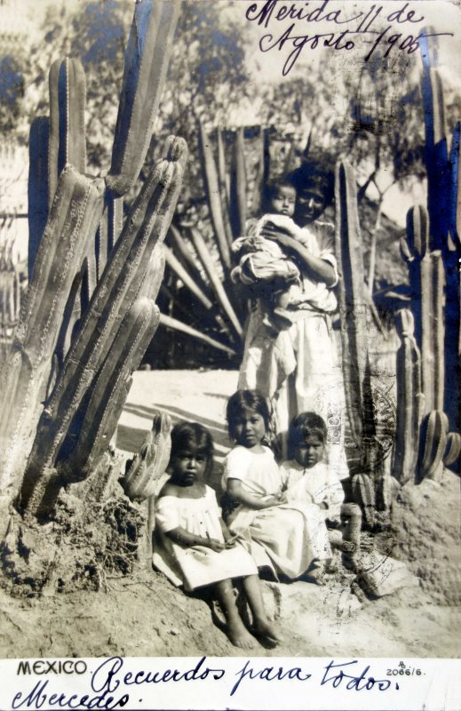 Tipos mexicanos familia ( Circulada el 11 de Agosto de 1905 ).