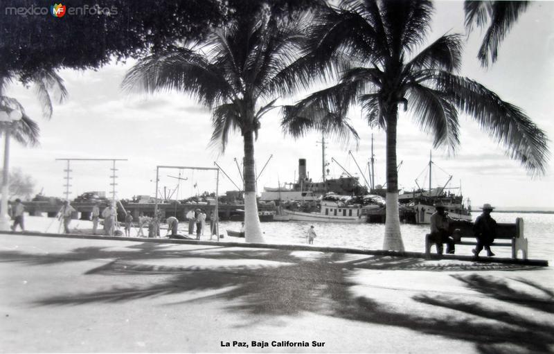 El Puerto de La Paz, Baja California Sur ( Circulada el 8 de Agosto de 1955 ).