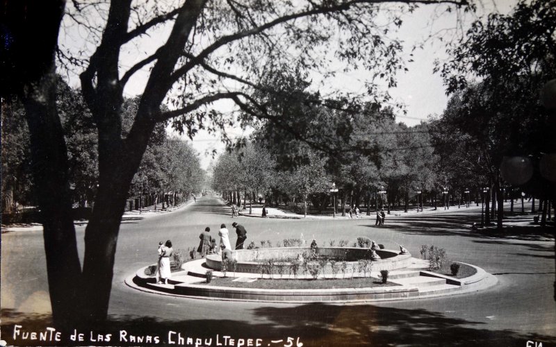 Fuente de Las Ranas Chapultepec.