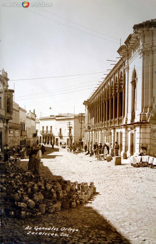 Avenida Gonzalez Ortega.