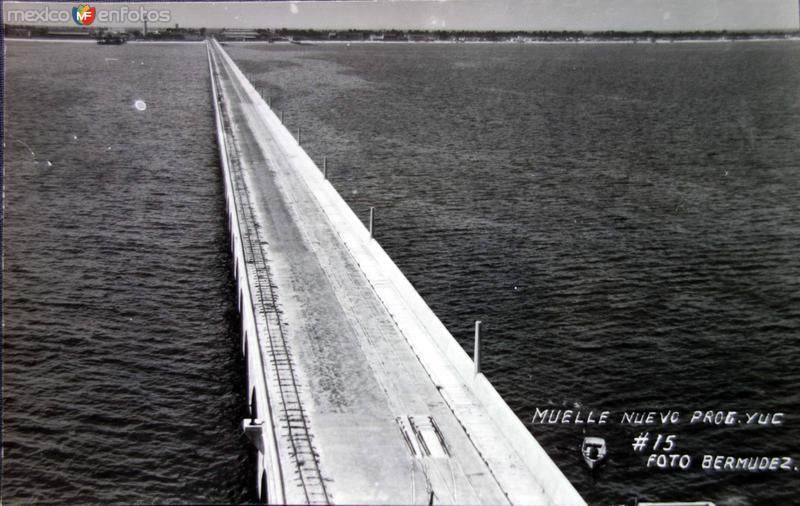 Muelle nuevo Progreso.