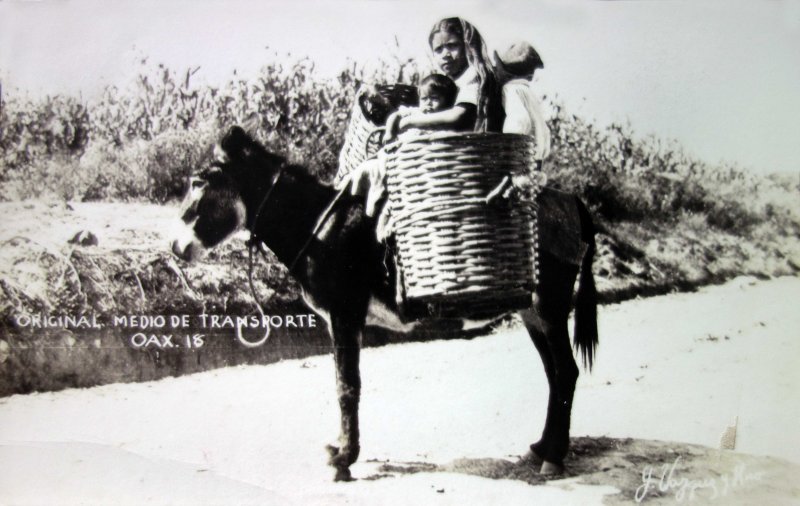 Tipos Mexicanos Original medio de transporte.