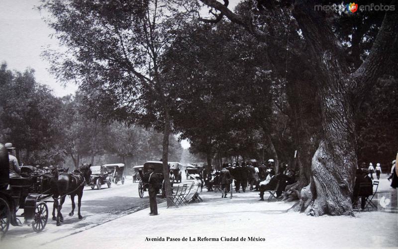 Avenida Paseo de La Reforma Ciudad de México.