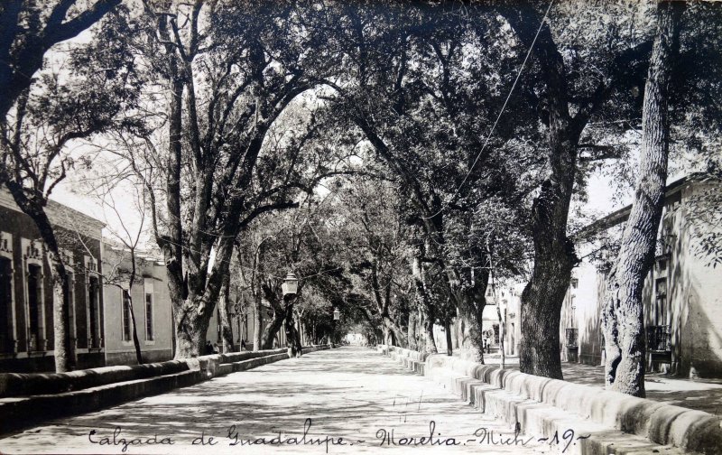 Calzada de Guadalupe.