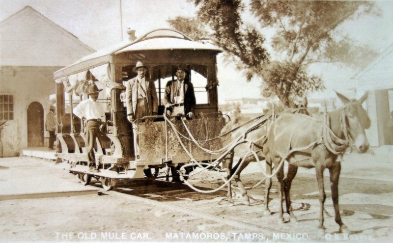 Antiguo carro de mulas..
