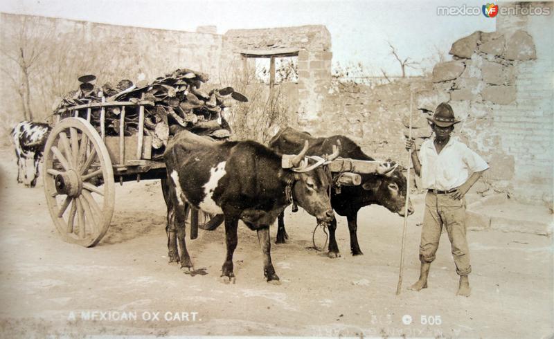 Tipos Mexicanos Un carretero con Nopales.