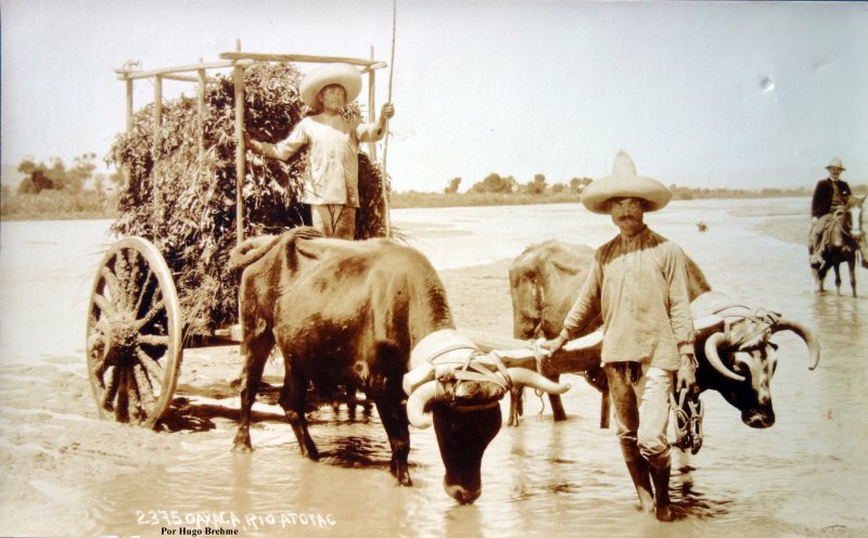 Rio Atoyac por el Fotógrafo Hugo Brehme.