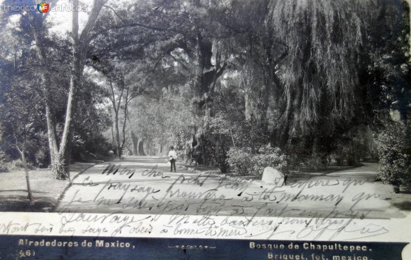 Alrededores de Mexico por el Fotógrafo Abel Briquet. ( Circulada el 25 de Agosto de 1908 )