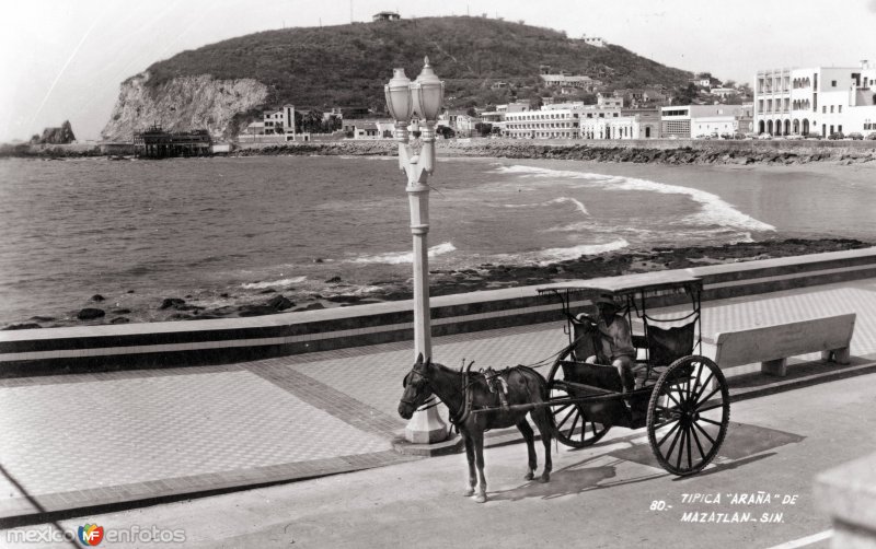 Carreta típica de Mazatlán (araña)