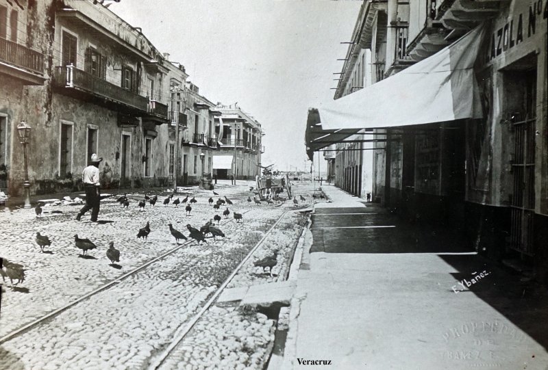 Escena callejera con zopilotes.