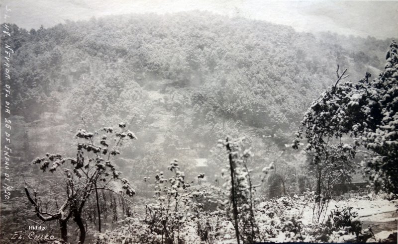 Nevada acaecida el dia 25 de Enero de 1920.