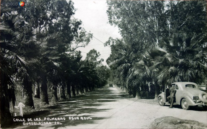 Calle de Las Palmeras Agua Azul. ( Circulada el 19 de Mayo de 1939 ).