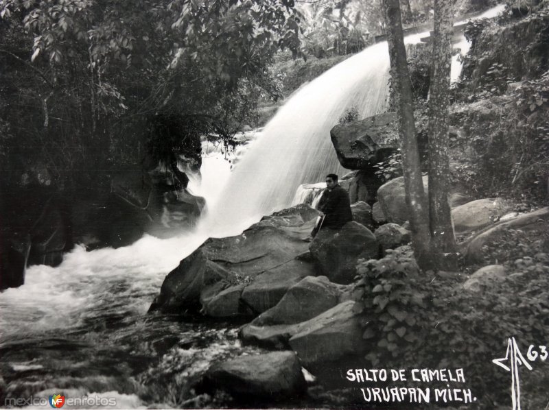 Salto de Camelia.