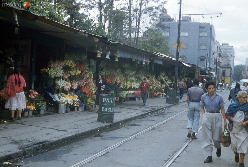 Mercado de flores  Ciudad de México 1954