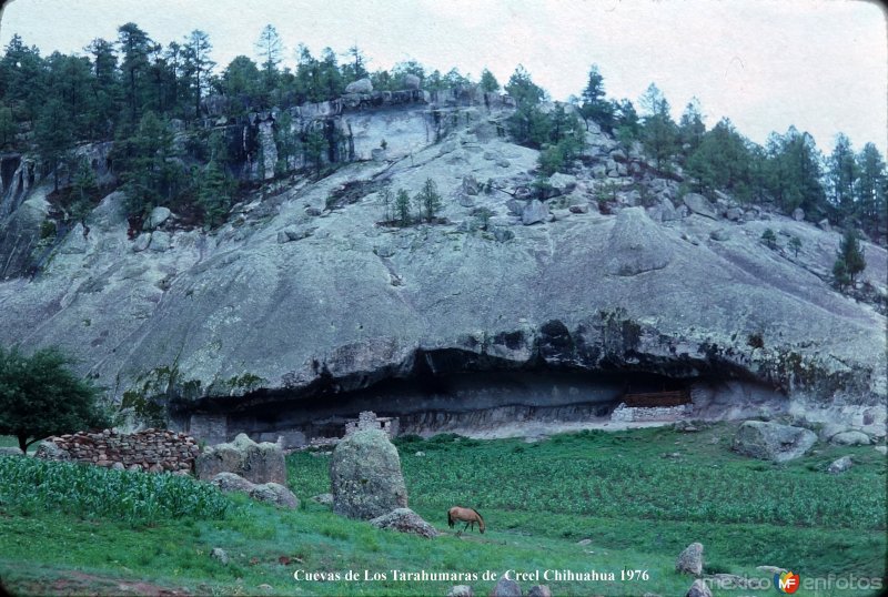 Cuevas en donde viven algunos Tarahumaras 1976