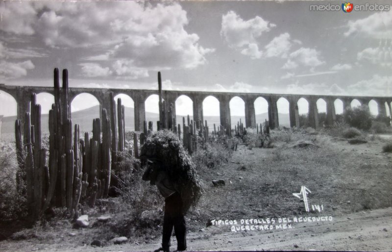 Tipicos detalles del Acueducto.