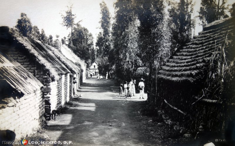 Vida Cotidiana en Xochimilco.