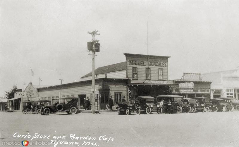 Curio Store y Garden Café