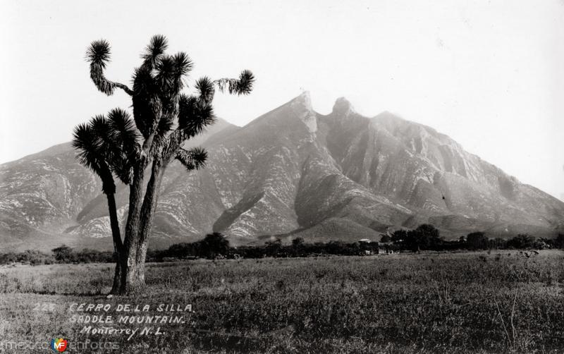 Cerro de la Silla