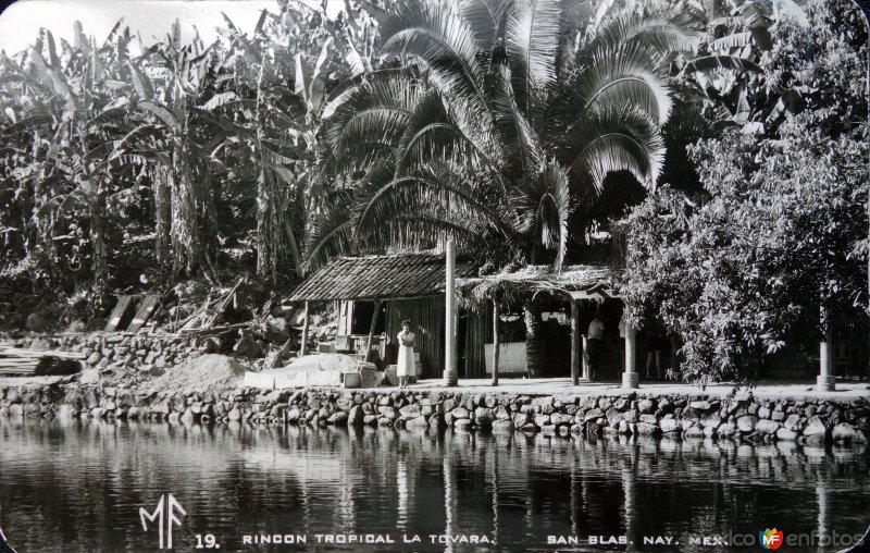 Rincon tropical La Tovara.