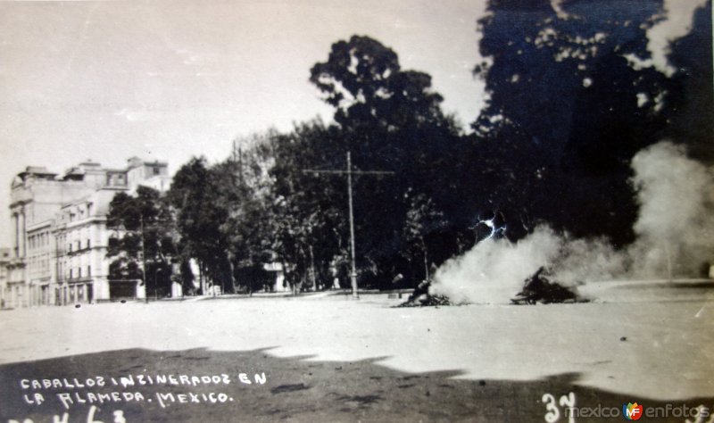 Caballos Incinerados en La Alameda por la Ave, de Los Hombres Ilustres durante La Decena Trágica Febrero de (1913)  Ciudad de México