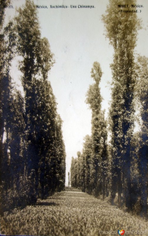 Xochimilco una Chinampa por el  Fotógrafo Felix Miret ( Circulada el 20de mayo de 1910 ).