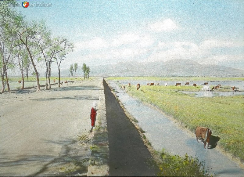 Canal de Irrigacion en el Valle de Mexico ( Fechada en 1928 ).