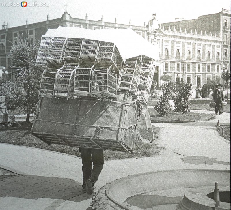 Tipos Mexicanos cargador de jaulas para gallos de pelea ( Fechada en 1922 ).