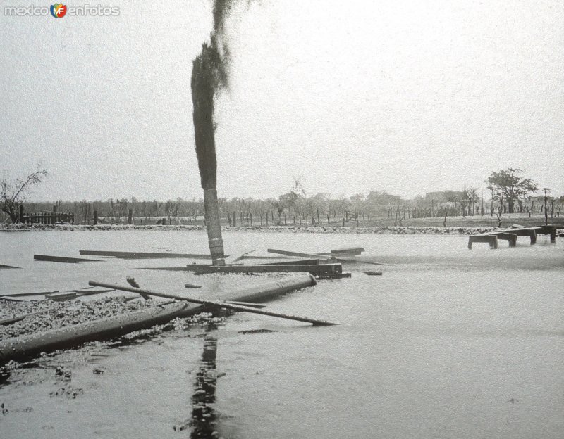 Campos petroleros cerca de Veracruz ( Fechada en 1922 ).