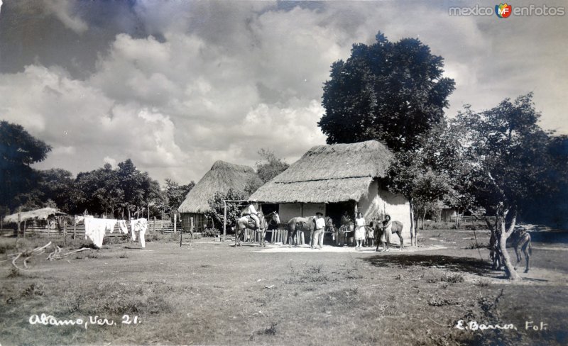 Vida Cotidiana.