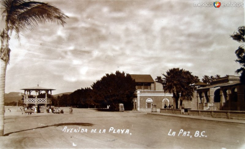 Avenida de la playa.( Circulada el 21 de Agosto de 1927 ).