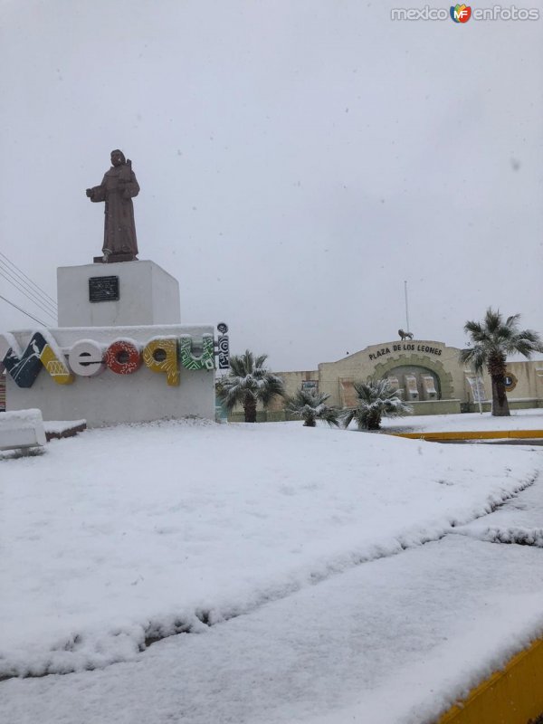 Cd Meoqui Chihuahua bajo la nieve.