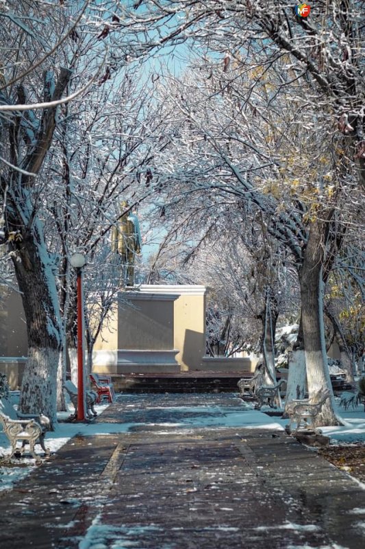 Plaza Carranza, Ciudad Delicias bajo la nieve. (Adrián y su cámara)