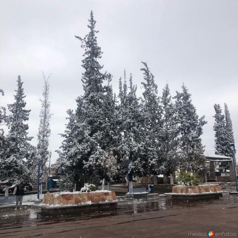 Plaza del Santuario, Cd Delicias con nieve. ( @adri_moy )