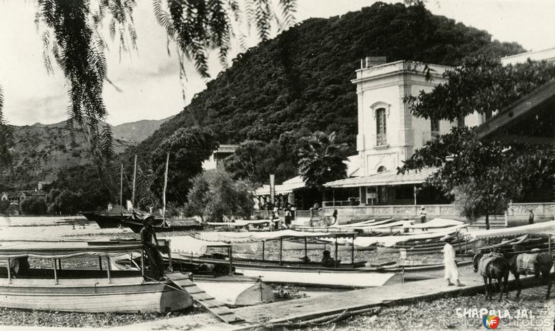 Botes en el lago de Chapala