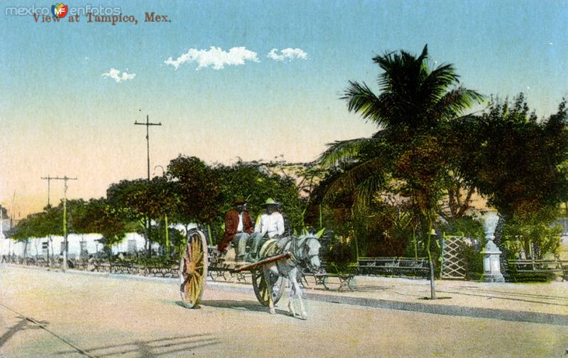 Una vista típica en Tampico