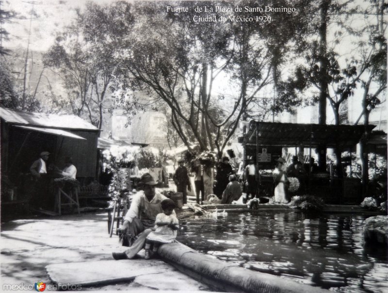 Fuente   de La Plaza de Santo Domingo  Ciudad de México 1920