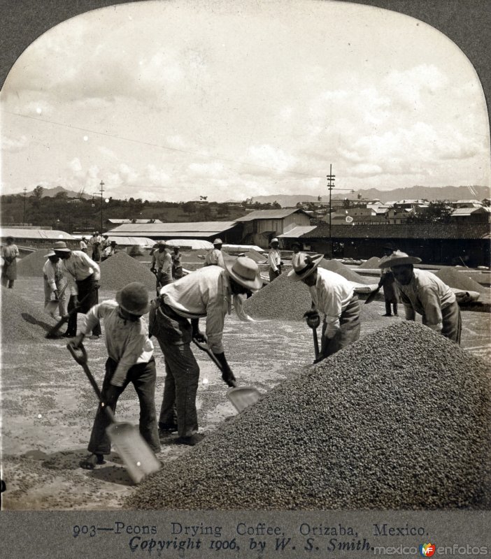 Peones Secando el cafe en una hacienda 1906.