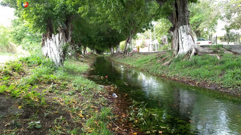 Canal de Riego