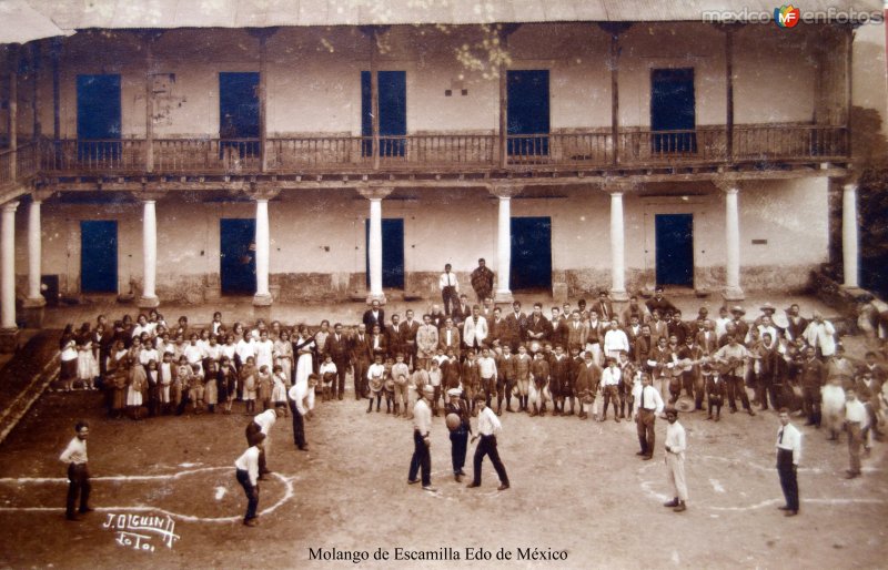 MX16243269005491