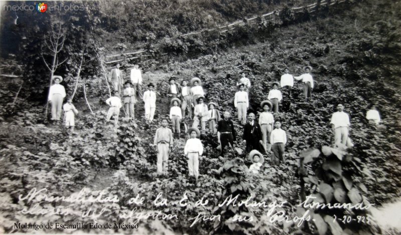 Normalistas de la escuela de Molango de Escamilla Edo de Hidalgo tomando clases del algodon ( 1925 )