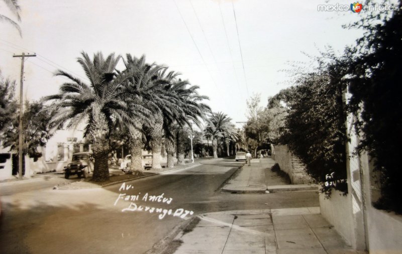 Avenida Fani Anitua.