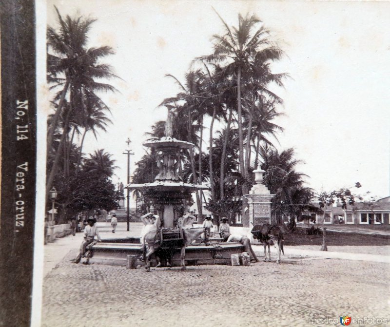 Fuente y Palmas por el Fotógrafo Abel Briquet.