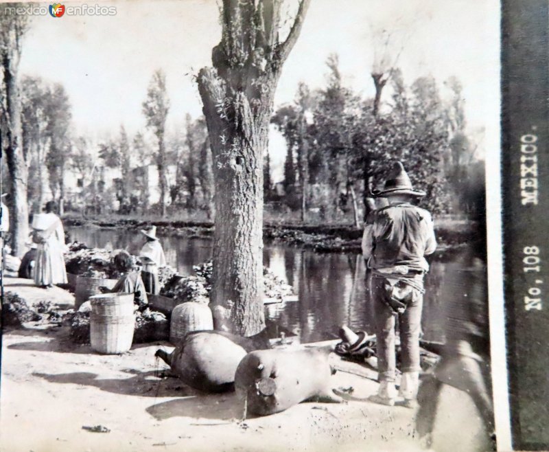 Cargando pulque en el Canal de La Viga Ciudad de México por el Fotógrafo Abel Briquet..