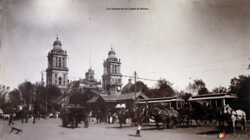La Catedral de la Ciudad de México .