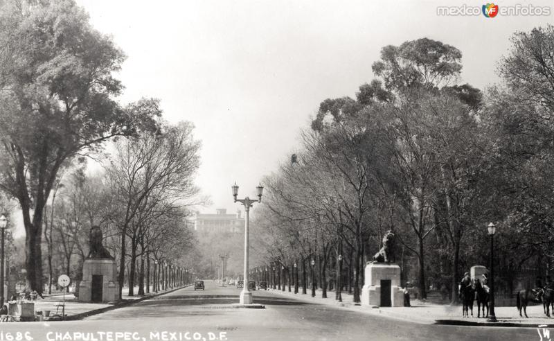 Paseo de la Reforma, hacia Chapultepec